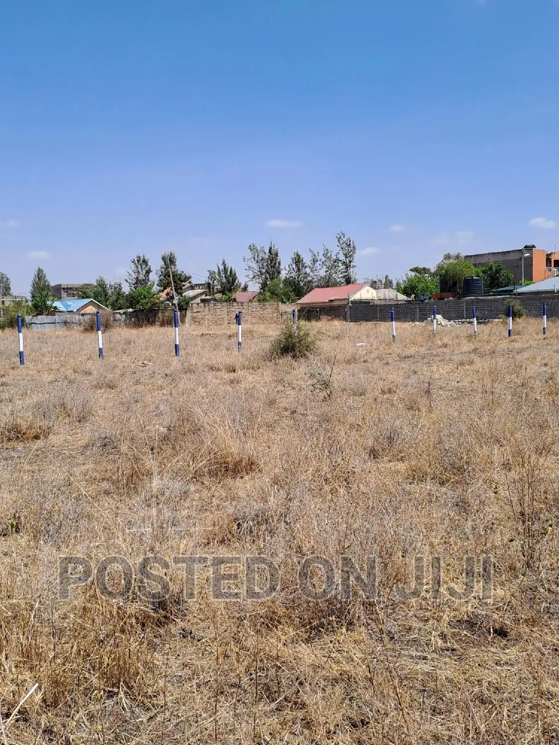 Kamulu 50 by 100 Plots in Kamulu