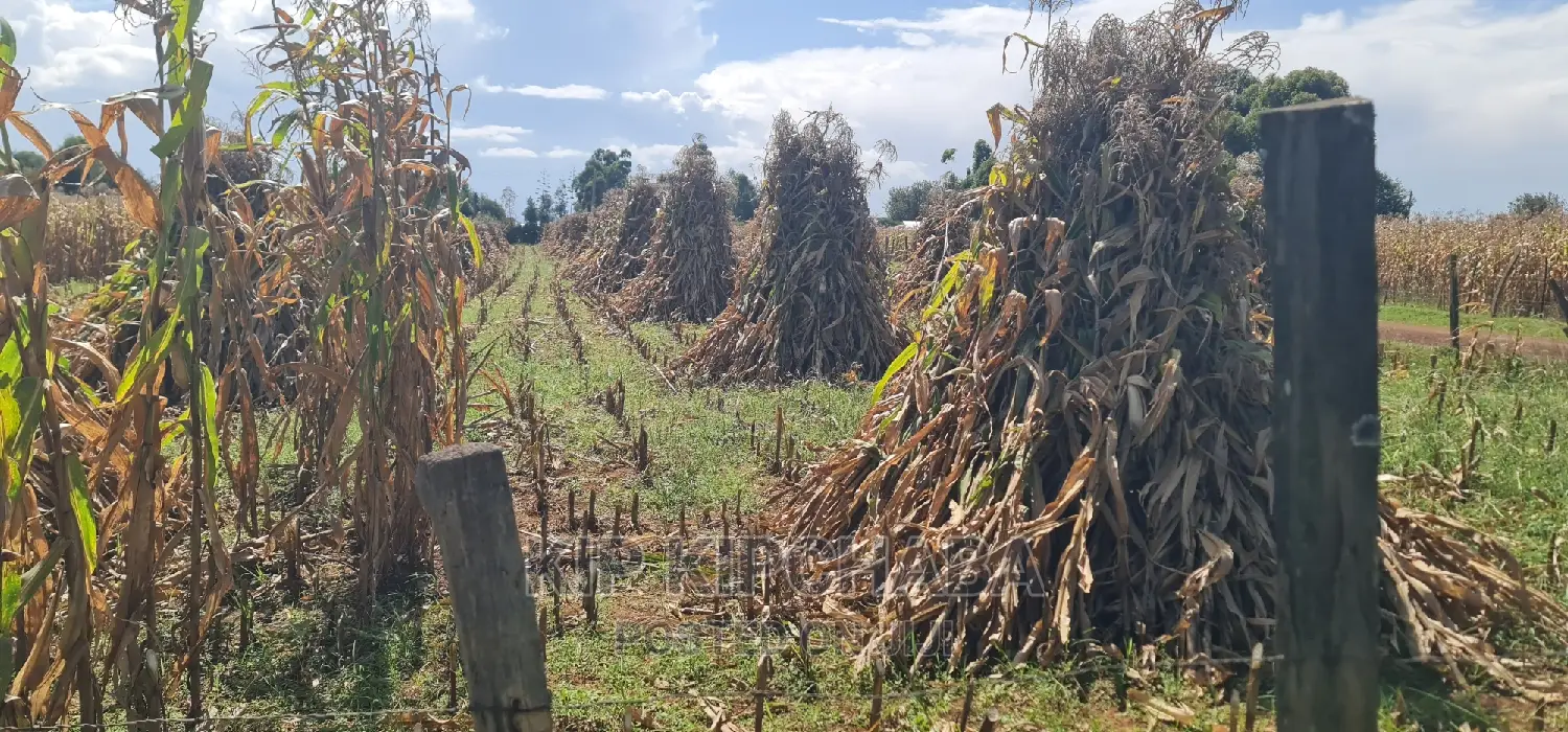 1-Acre Plot for Sale Near Eldoret Highway, Merewet - Ideal Investment Opportunity in Kuinet