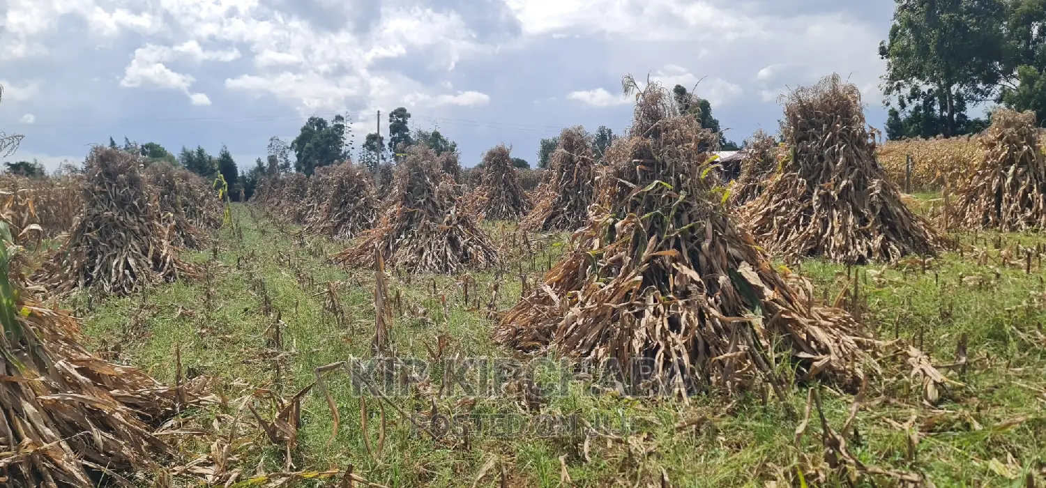 1-Acre Plot for Sale Near Eldoret Highway, Merewet - Ideal Investment Opportunity in Kuinet
