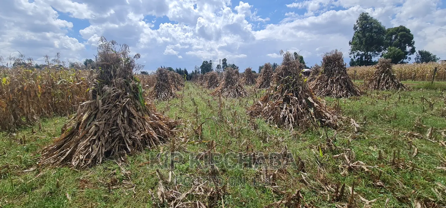 1-Acre Plot for Sale Near Eldoret Highway, Merewet - Ideal Investment Opportunity in Kuinet