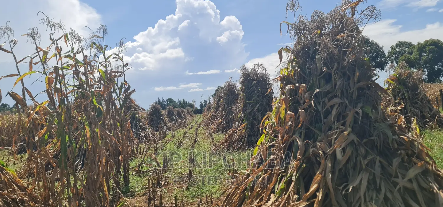 1-Acre Plot for Sale Near Eldoret Highway, Merewet - Ideal Investment Opportunity in Kuinet