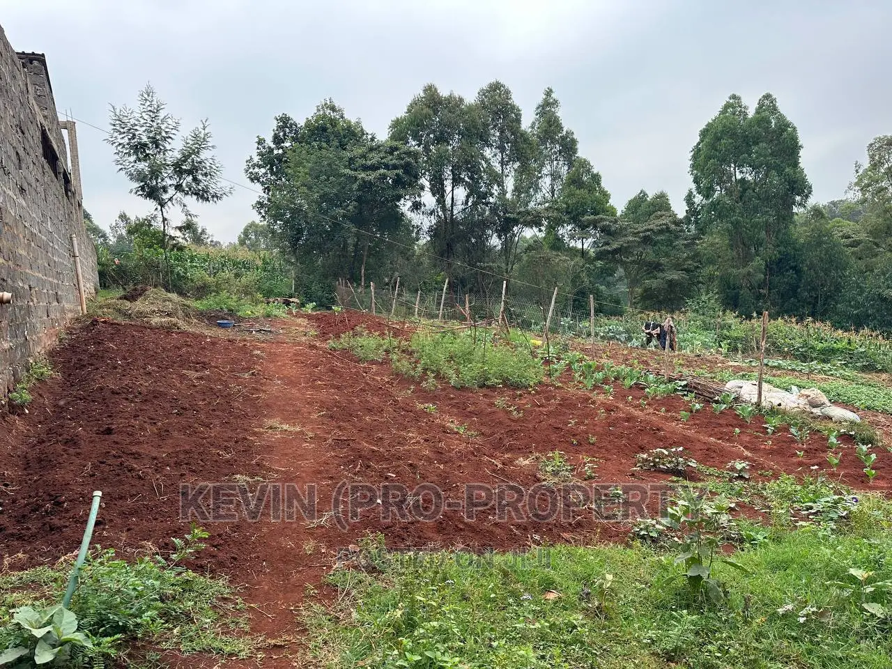 Premium Land for Sale in Lower Kabete: Secure Your Dream Investment Today! in Kabete