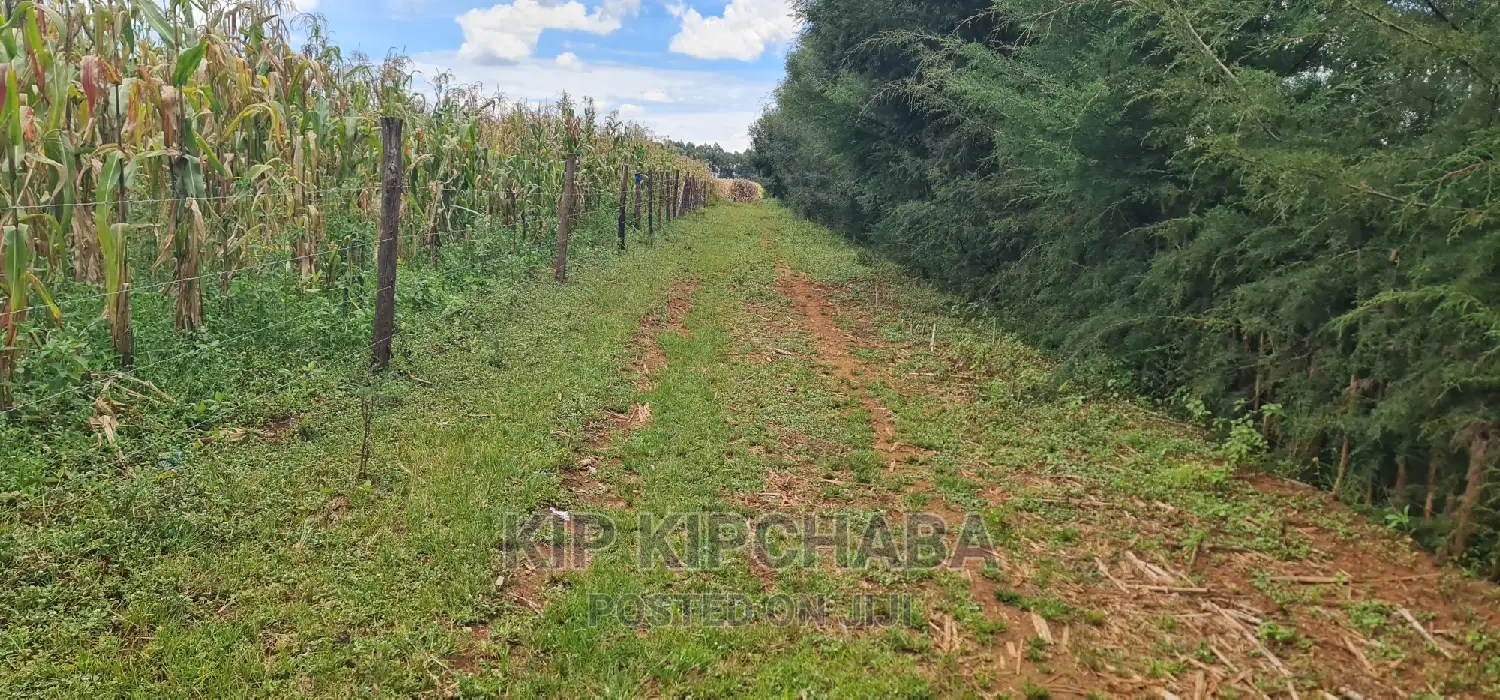 High-Quality Plots for Sale in MTRH Kibulgeny Kiplombe, Eldoret in Eldoret CBD