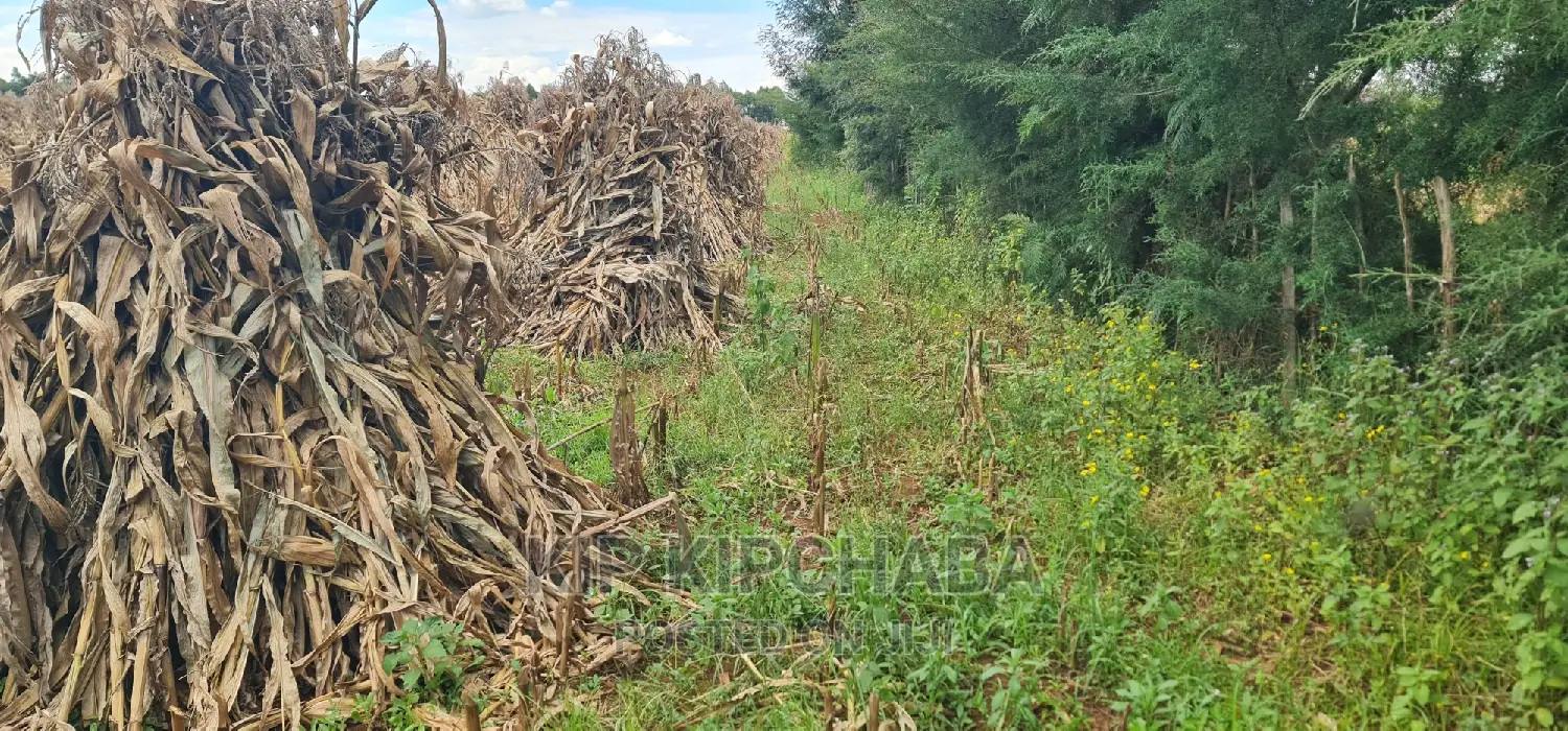 High-Quality Plots for Sale in MTRH Kibulgeny Kiplombe, Eldoret in Eldoret CBD