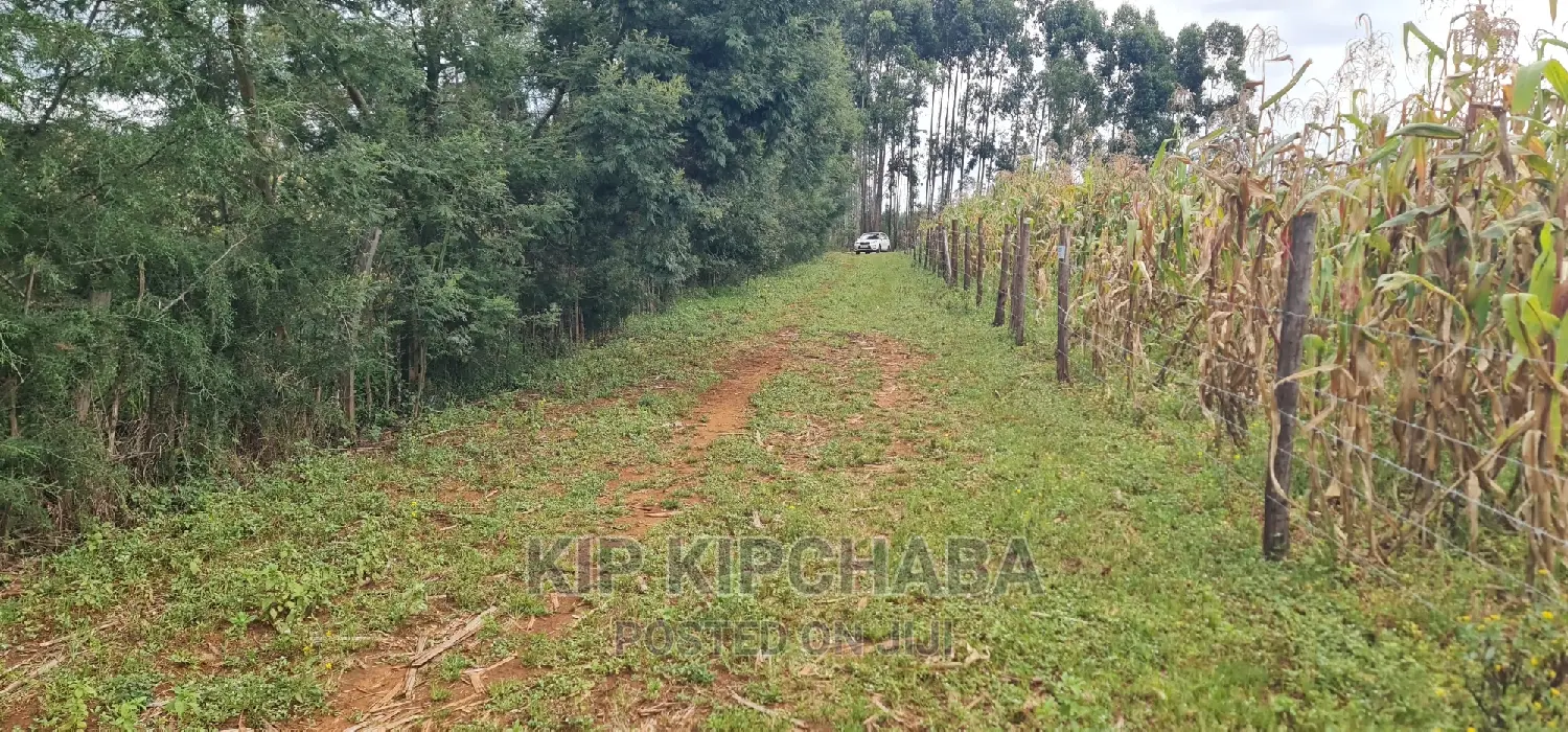 High-Quality Plots for Sale in MTRH Kibulgeny Kiplombe, Eldoret in Eldoret CBD