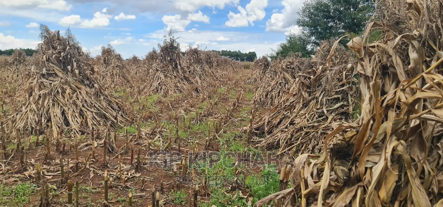 High-Quality Plots for Sale in MTRH Kibulgeny Kiplombe, Eldoret in Eldoret CBD