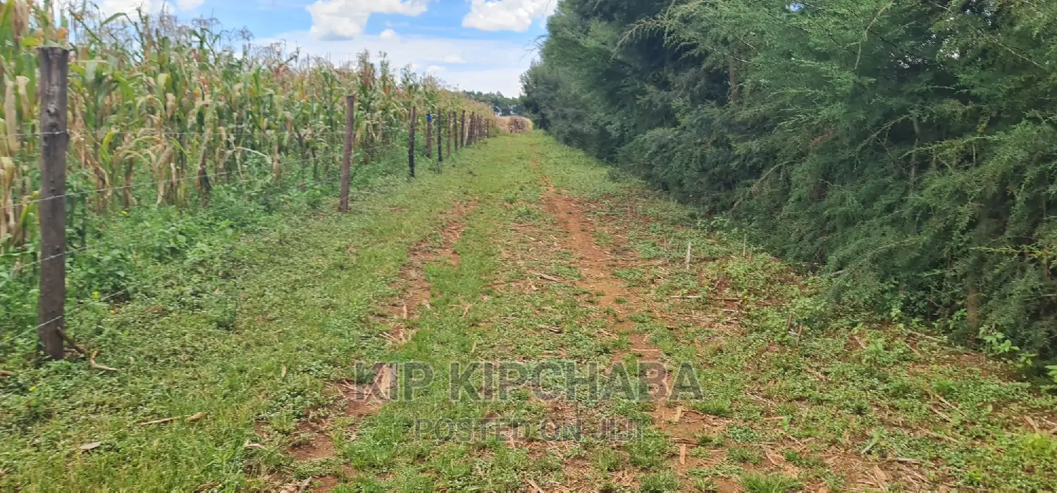 High-Quality Plots for Sale in MTRH Kibulgeny Kiplombe, Eldoret in Eldoret CBD