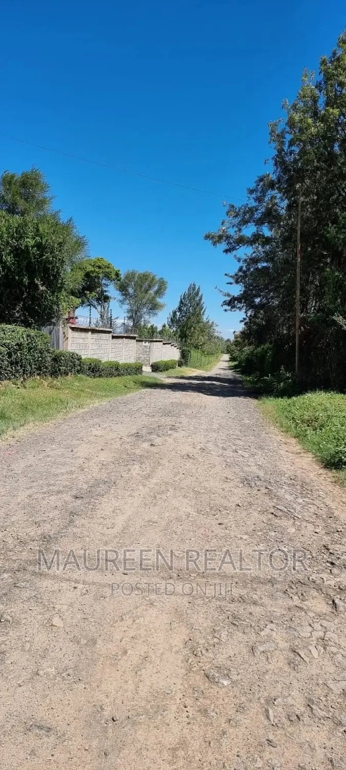 Nanyuki Airstrip: Exclusive Prime Plots for Sale in Nanyuki