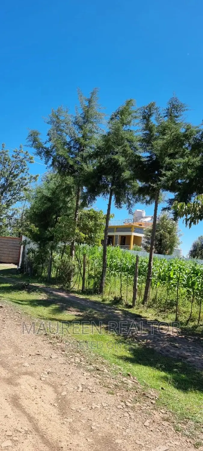 Nanyuki Airstrip: Exclusive Prime Plots for Sale in Nanyuki