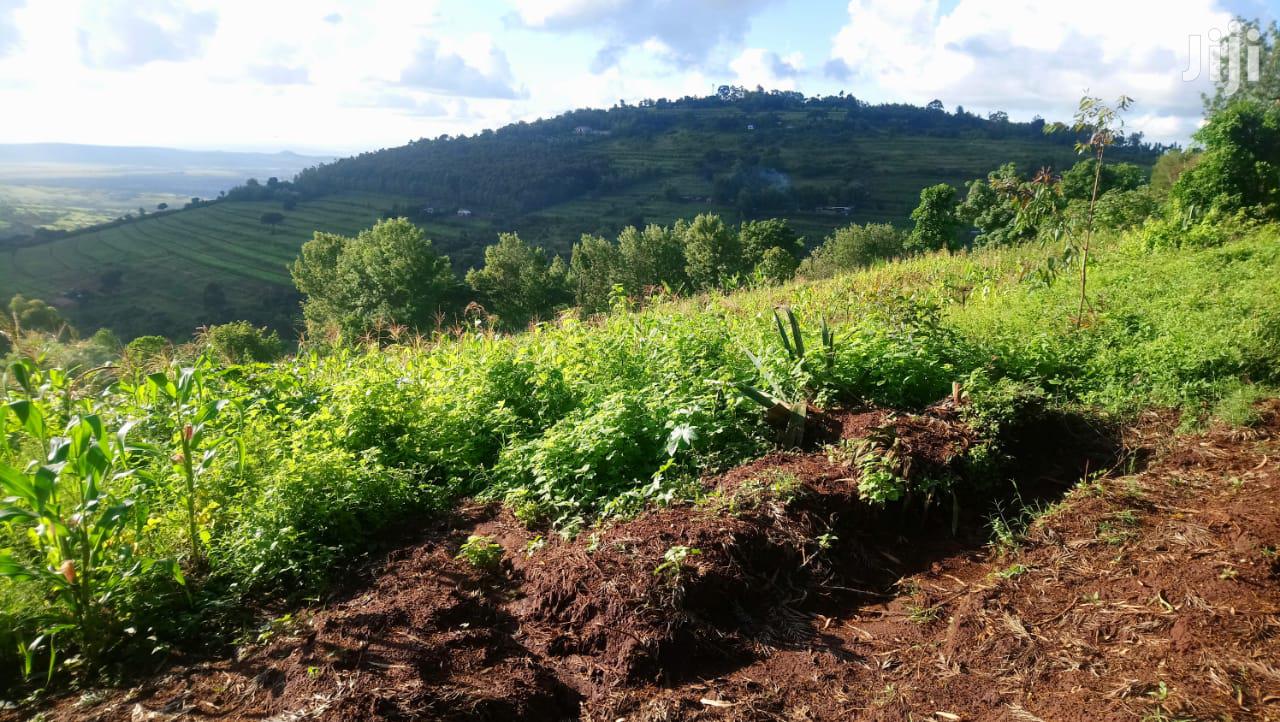 One Acre Mua Hills in Mua