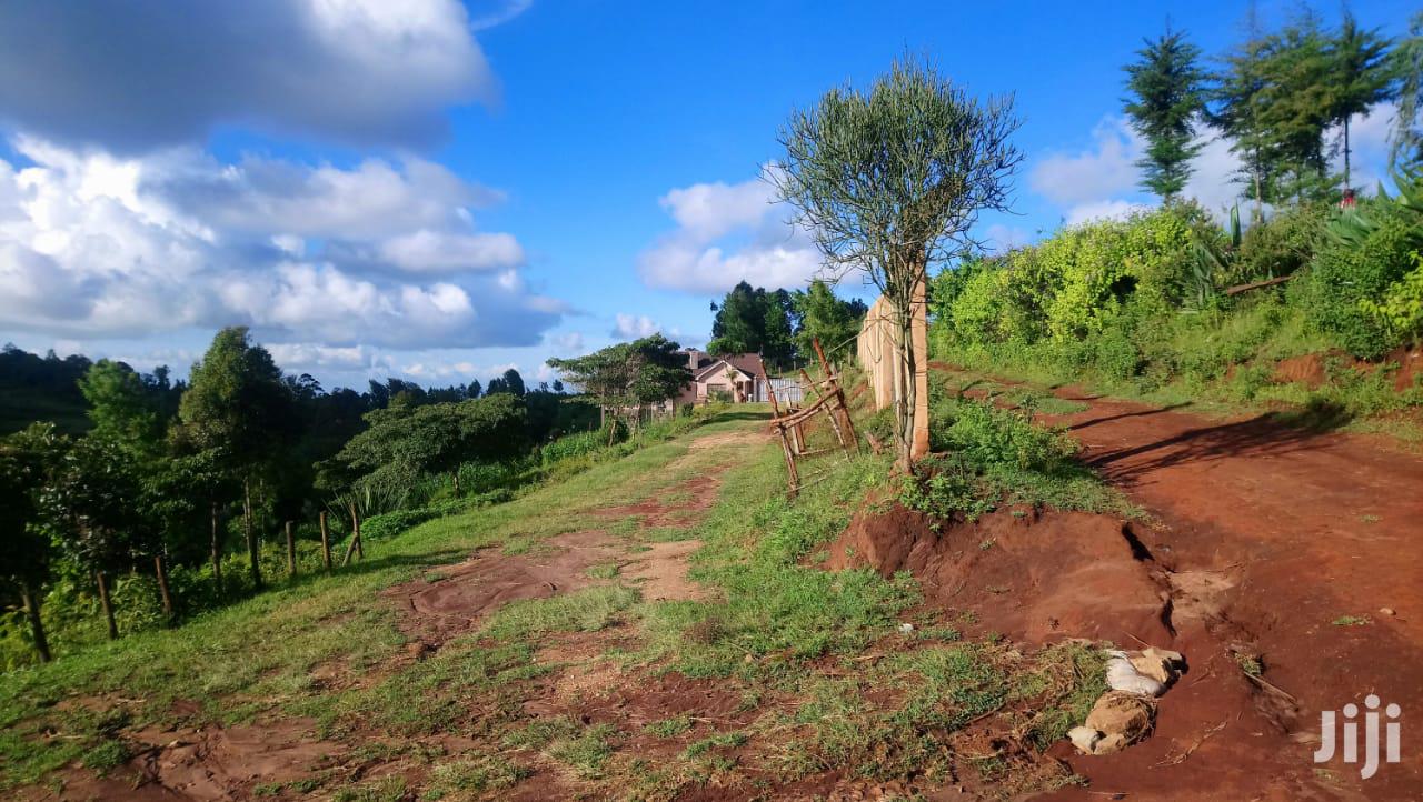 One Acre Mua Hills in Mua