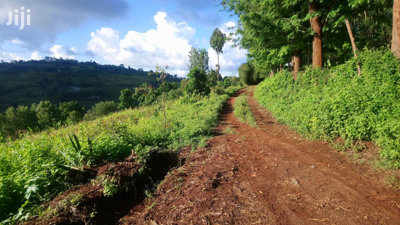 One Acre Mua Hills in Mua