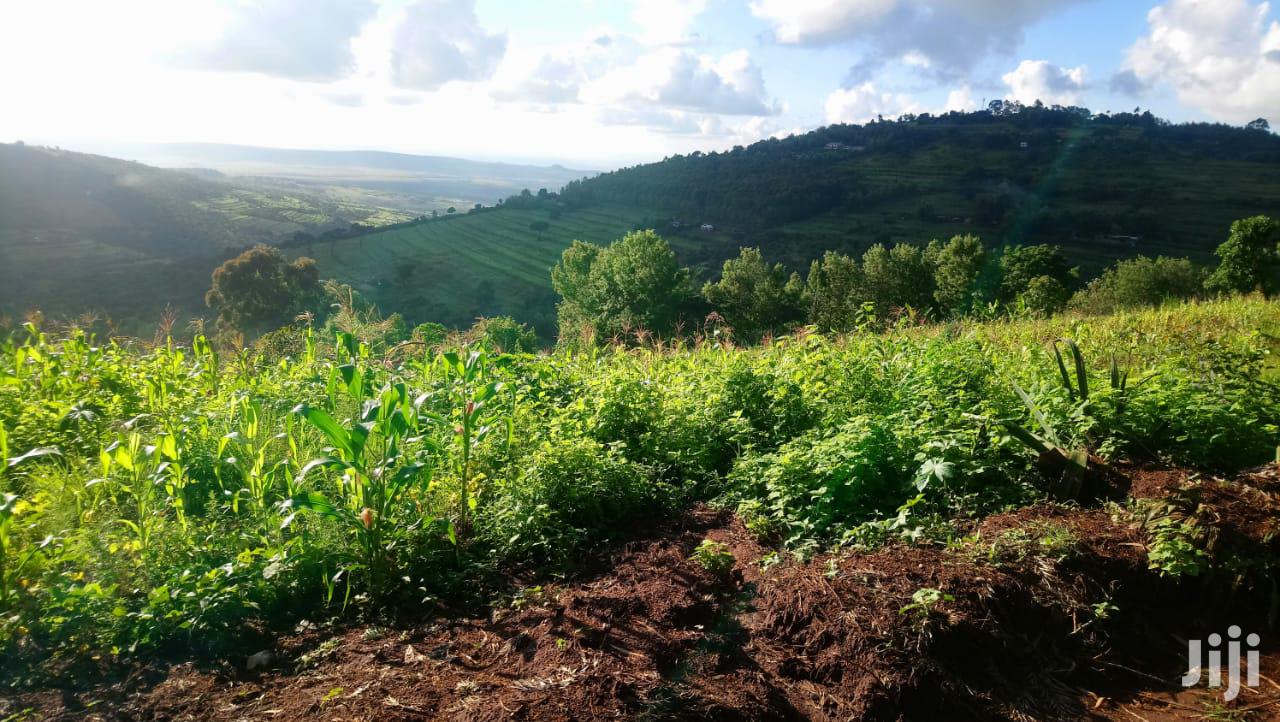 One Acre Mua Hills in Mua