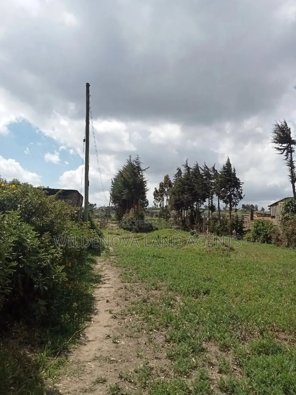 Flyover Kinangop: 50*100 Plot Ready for Purchase in Magumu