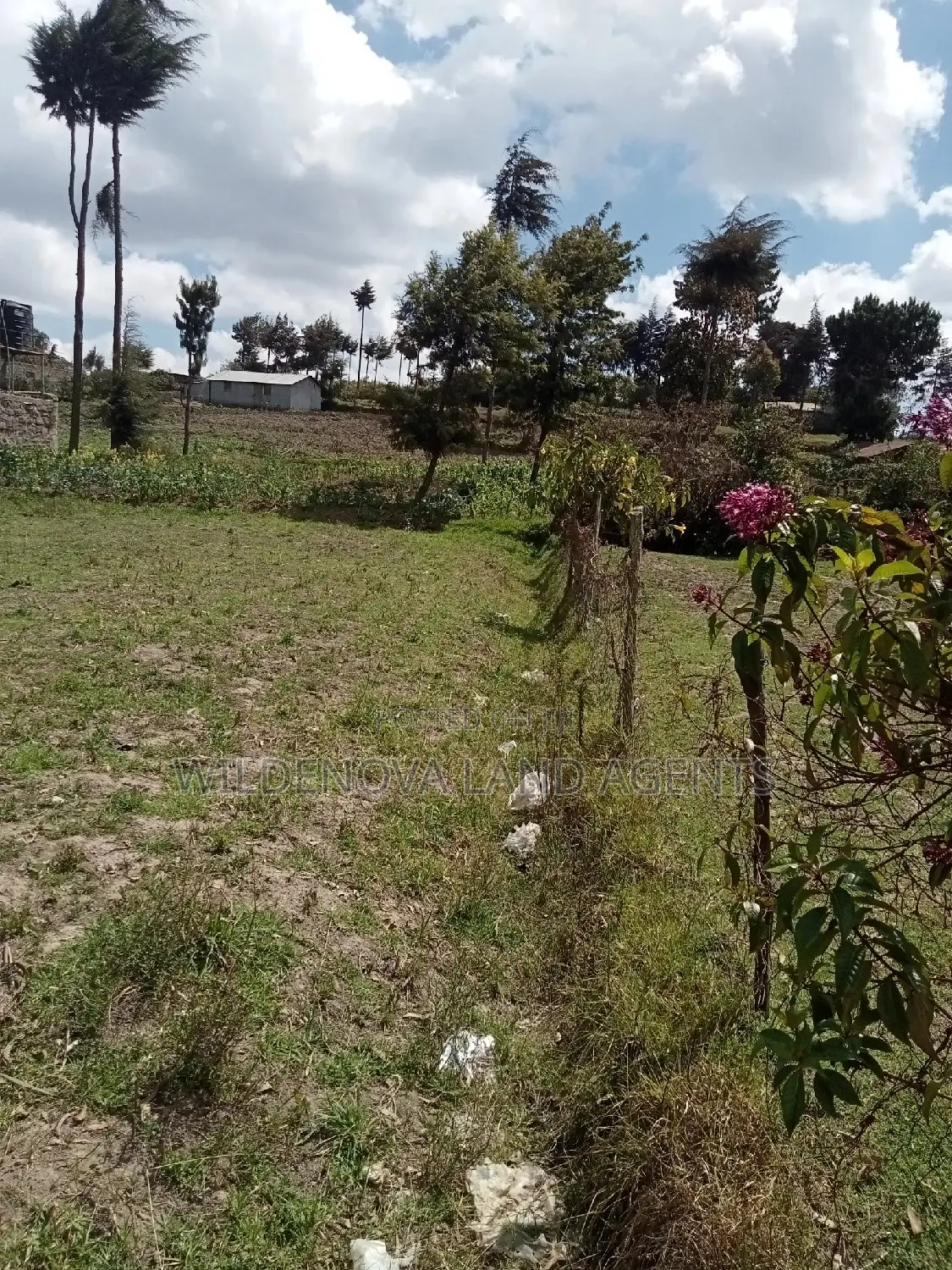 Flyover Kinangop: 50*100 Plot Ready for Purchase in Magumu