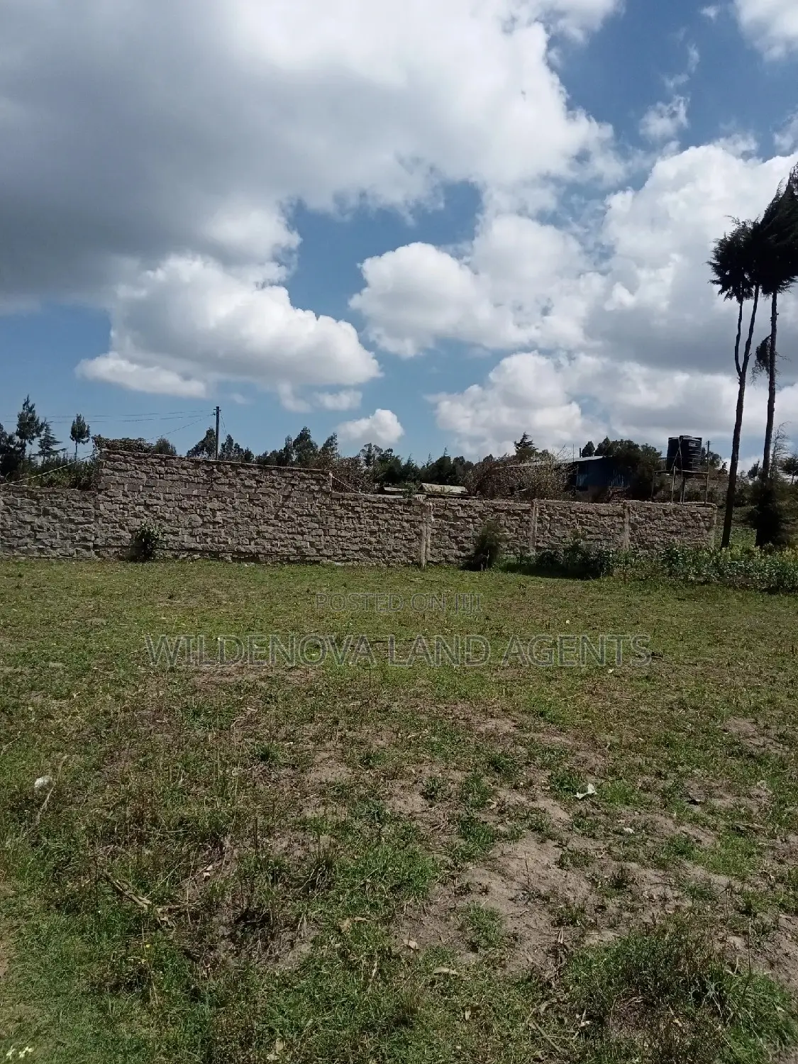 Flyover Kinangop: 50*100 Plot Ready for Purchase in Magumu