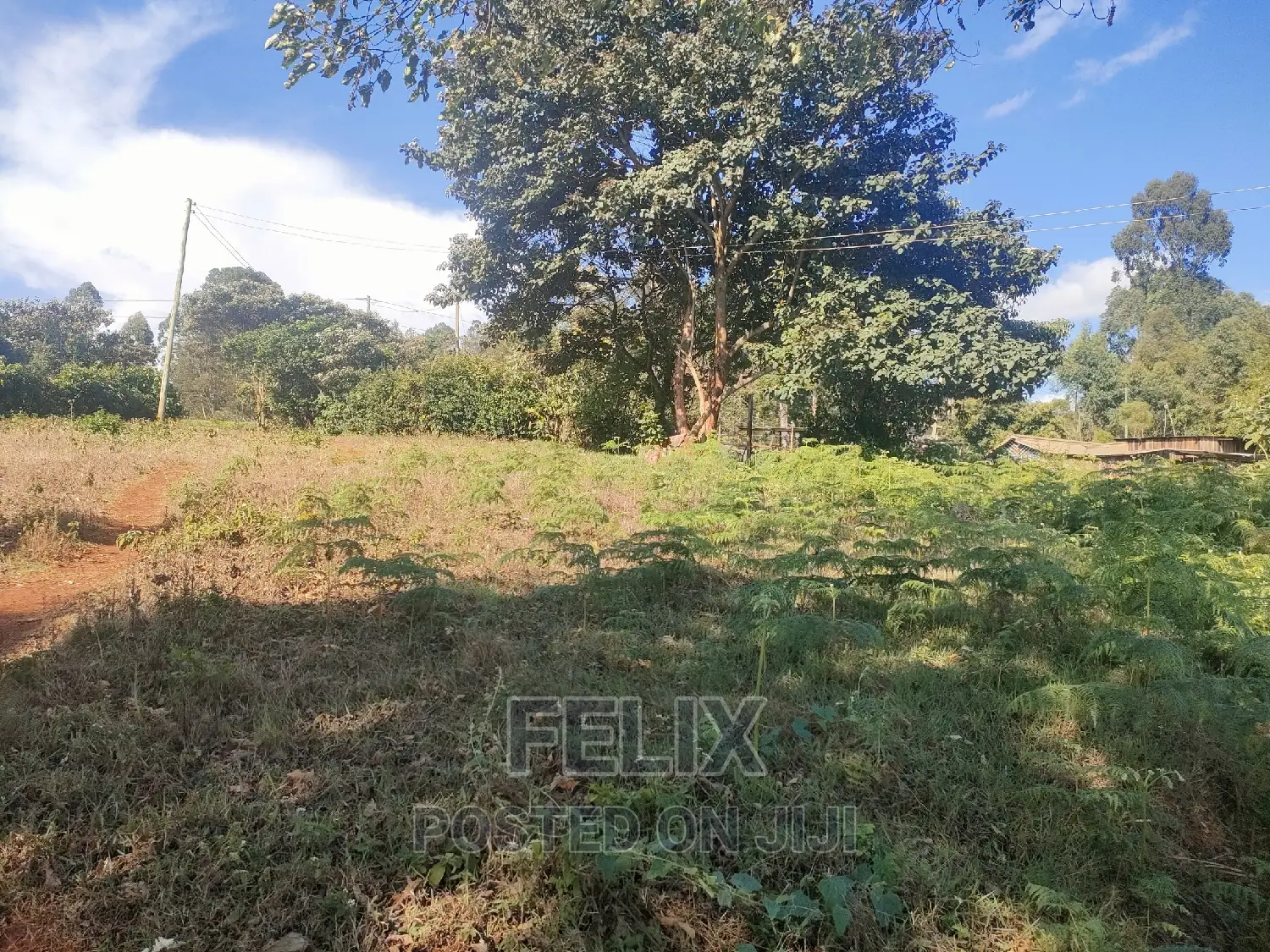 1 Acre Karatina/ Itiati in Karatina Town