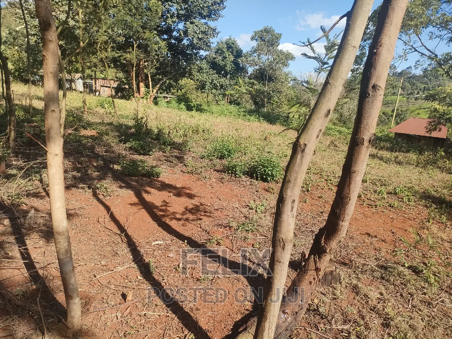 1 Acre Karatina/ Itiati in Karatina Town