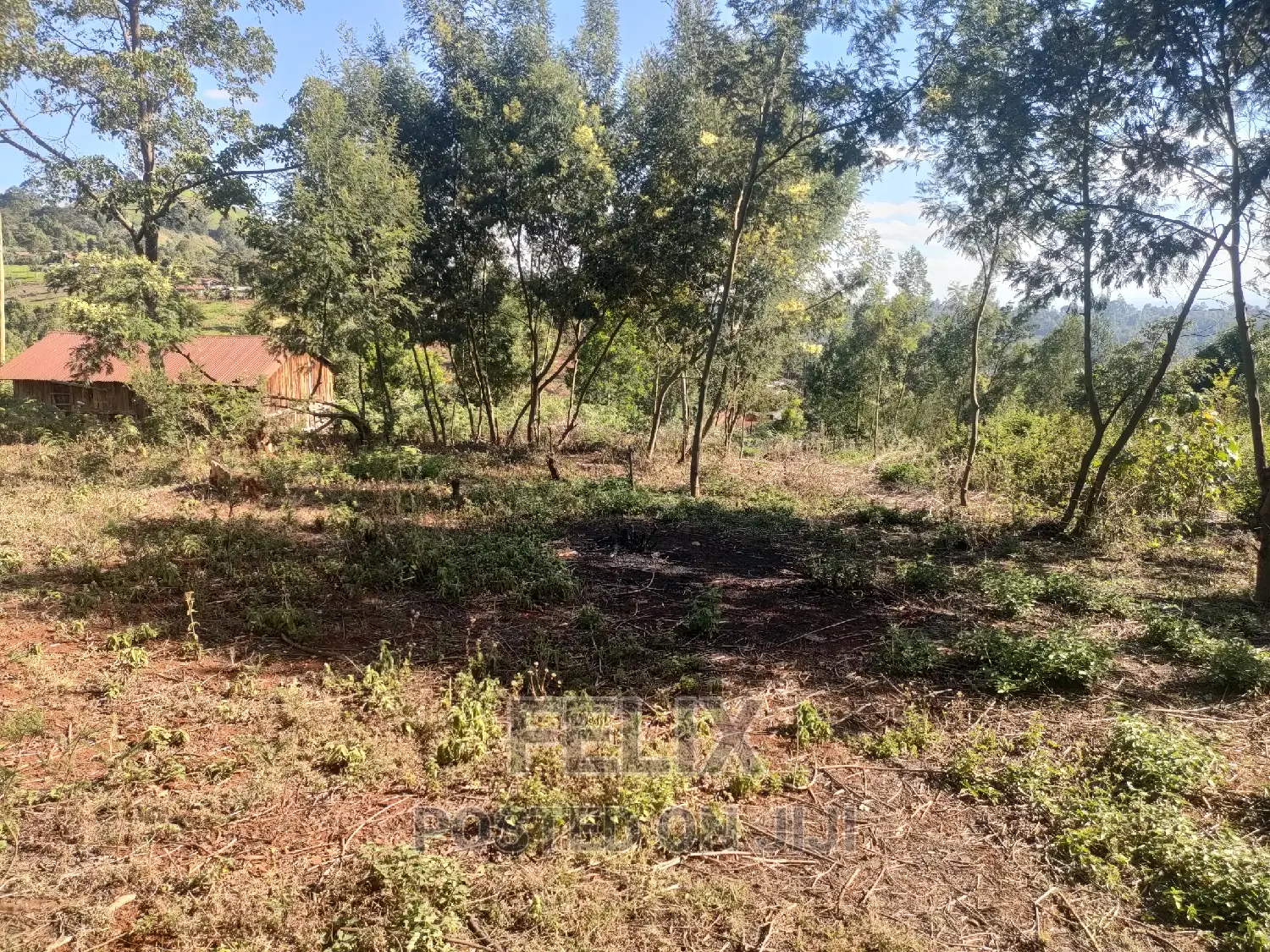 1 Acre Karatina/ Itiati in Karatina Town