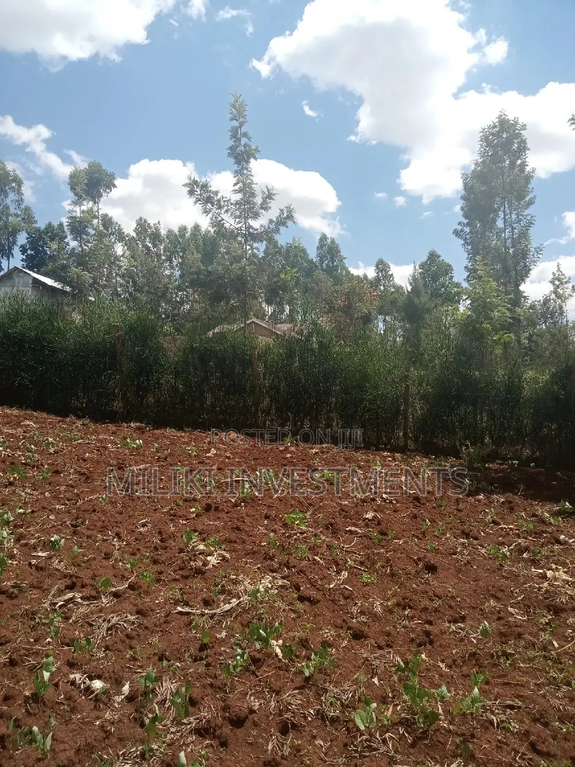 40x80 ft Kabati Land Plots - Secure Your Dream Property Today! in Kimorori/Wempa