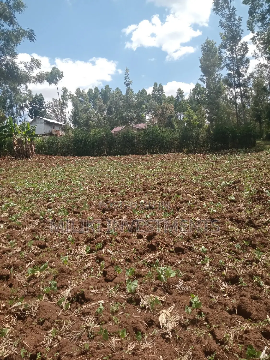 40x80 ft Kabati Land Plots - Secure Your Dream Property Today! in Kimorori/Wempa