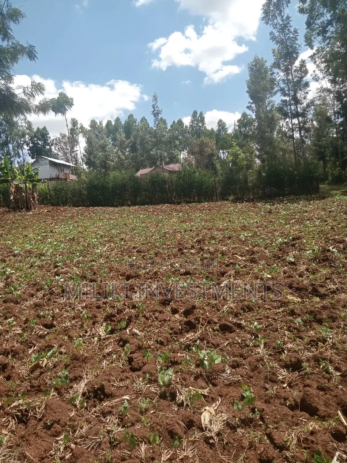 40x80 ft Kabati Land Plots - Secure Your Dream Property Today! in Kimorori/Wempa