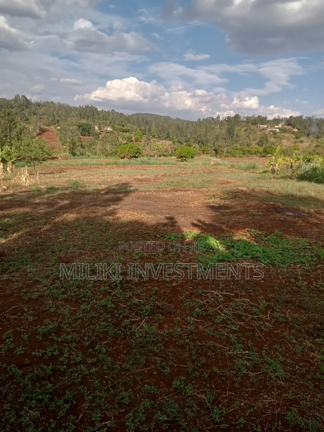 4 Acres Land in Summary Maragua - For Sale in Makuyu