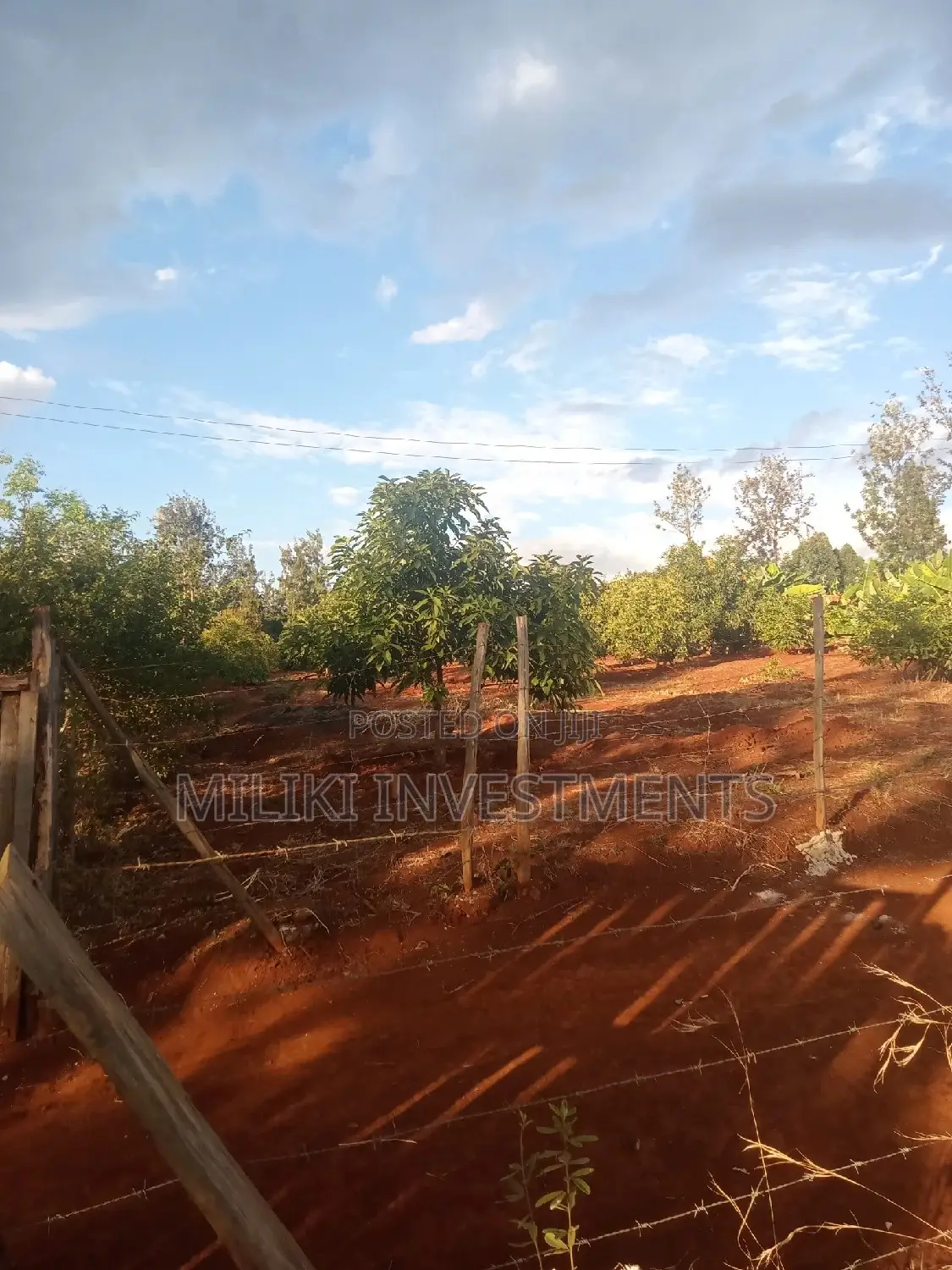 Buy 3 Acres of Land in Maragua Summary: A Great Real Estate Deal in Makuyu