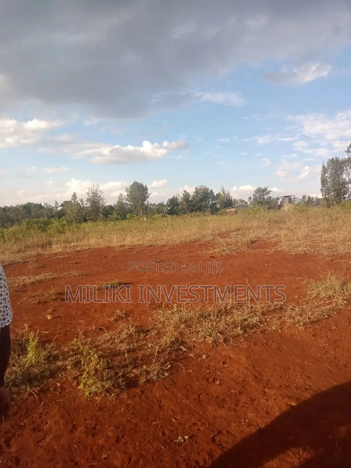 Buy 3 Acres of Land in Maragua Summary: A Great Real Estate Deal in Makuyu