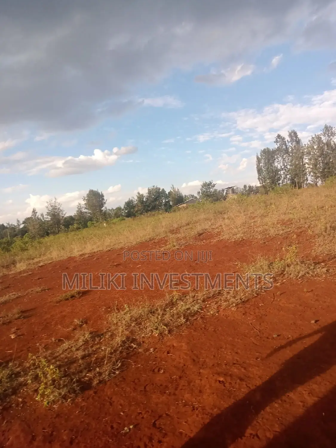 Buy 3 Acres of Land in Maragua Summary: A Great Real Estate Deal in Makuyu
