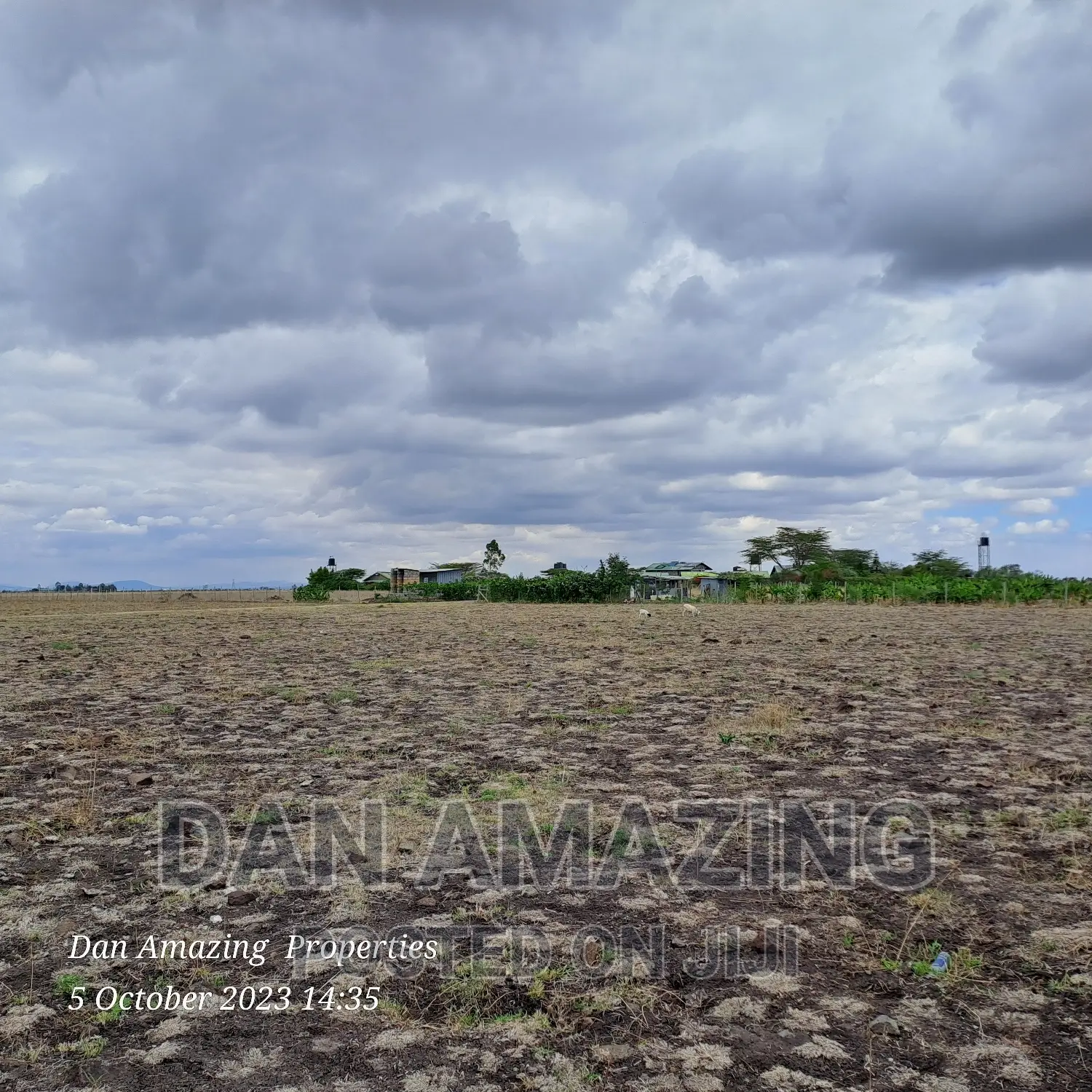 2 Acres of Farm Land for Ostrich Farm in Birika in Isinya