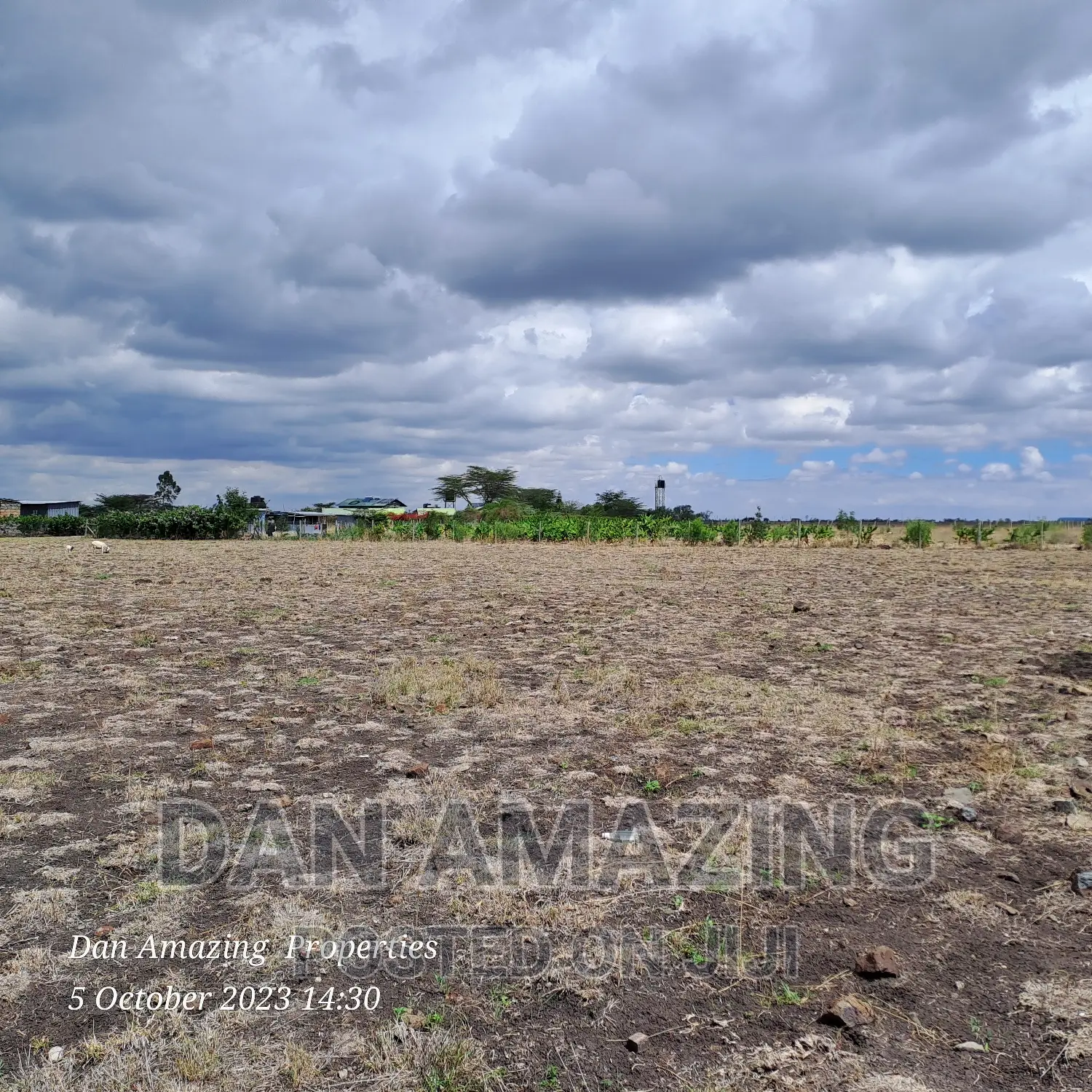 2 Acres of Farm Land for Ostrich Farm in Birika in Isinya
