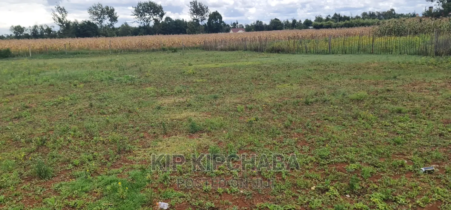 Bargain 1/4 Acre Land Plot in Chepkanga Willow Tree, Eldoret For Sale in Kimumu