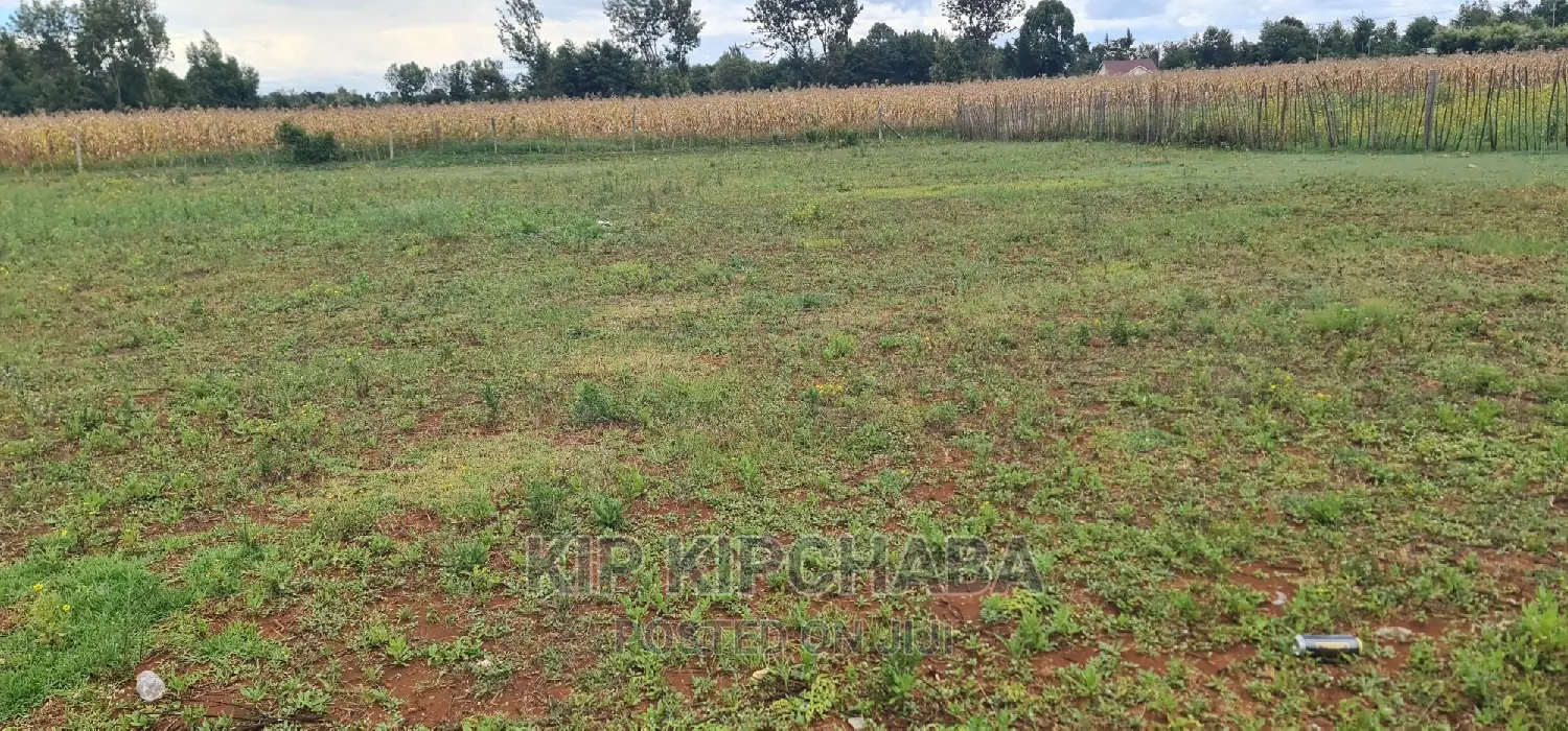 Bargain 1/4 Acre Land Plot in Chepkanga Willow Tree, Eldoret For Sale in Kimumu