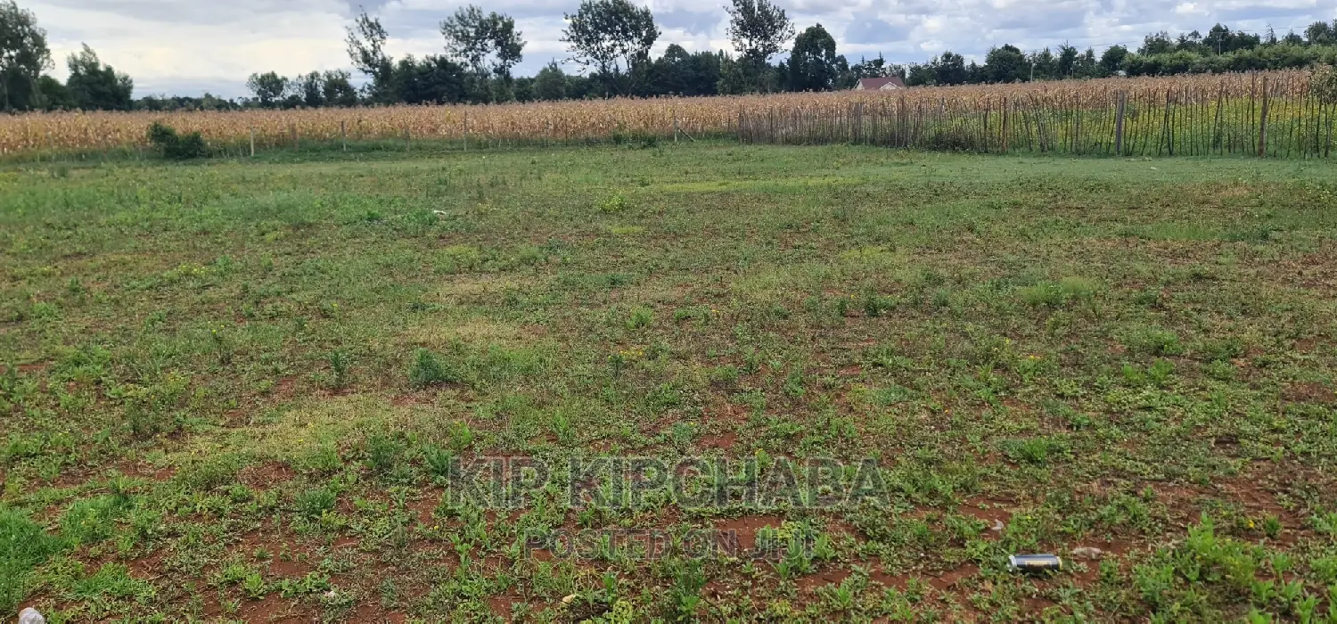 Bargain 1/4 Acre Land Plot in Chepkanga Willow Tree, Eldoret For Sale in Kimumu