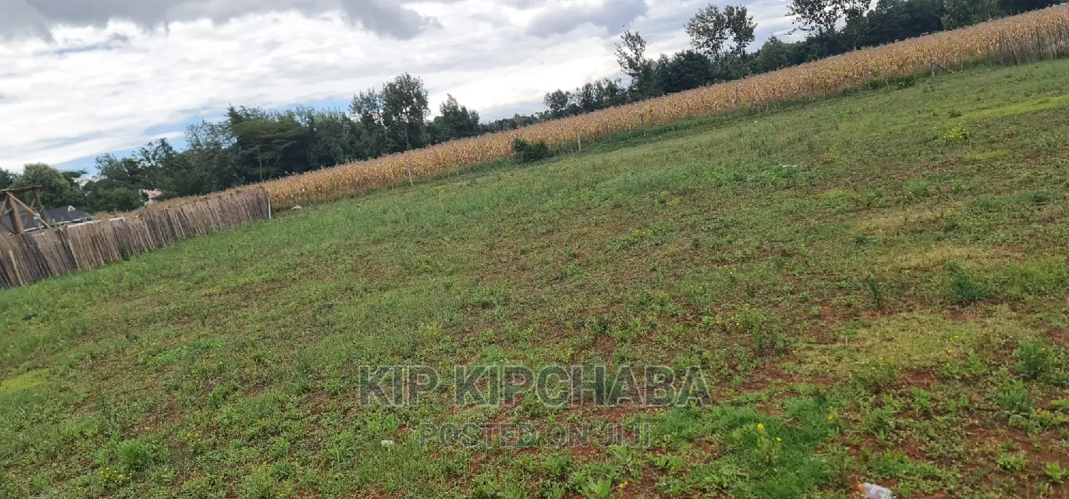 Bargain 1/4 Acre Land Plot in Chepkanga Willow Tree, Eldoret For Sale in Kimumu