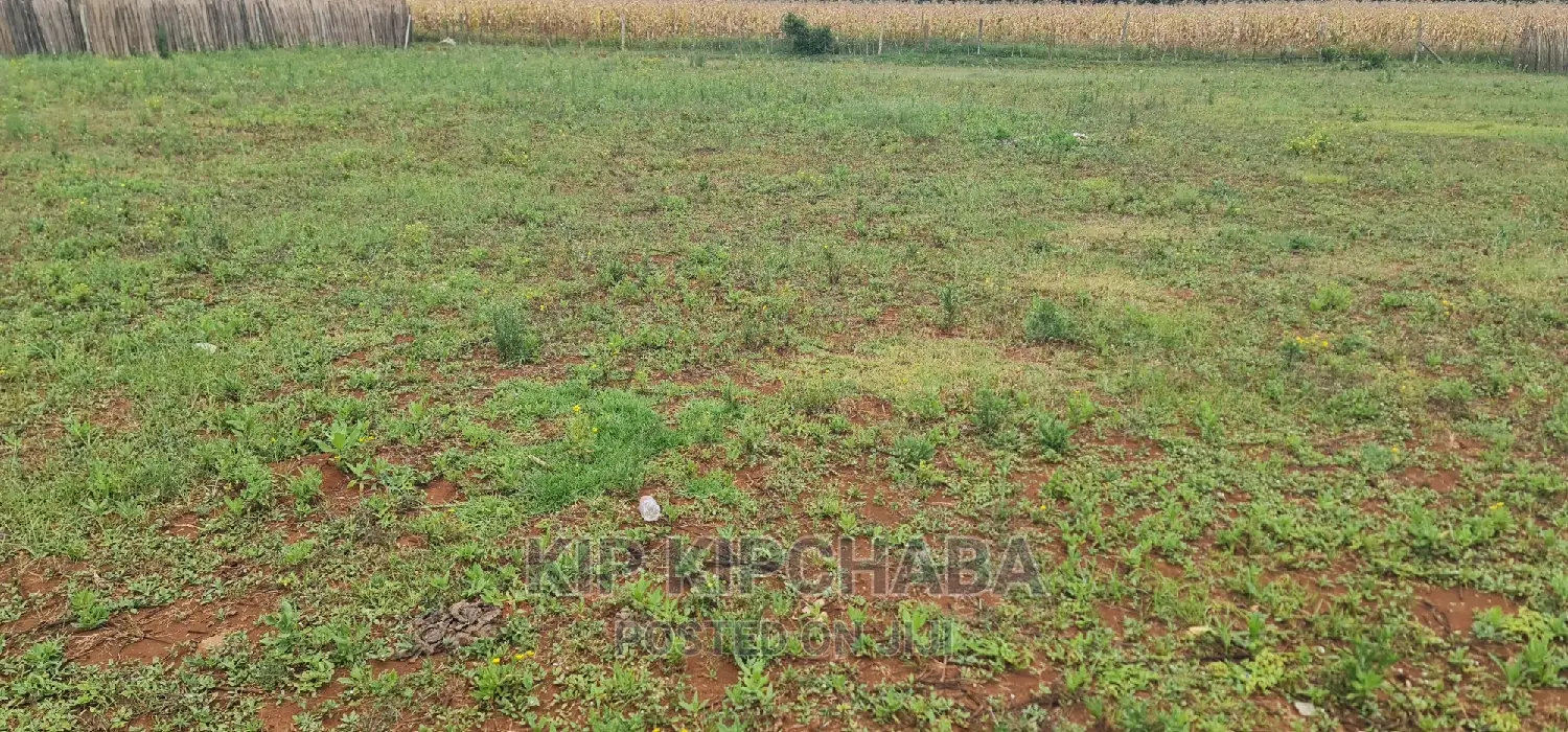 Bargain 1/4 Acre Land Plot in Chepkanga Willow Tree, Eldoret For Sale in Kimumu