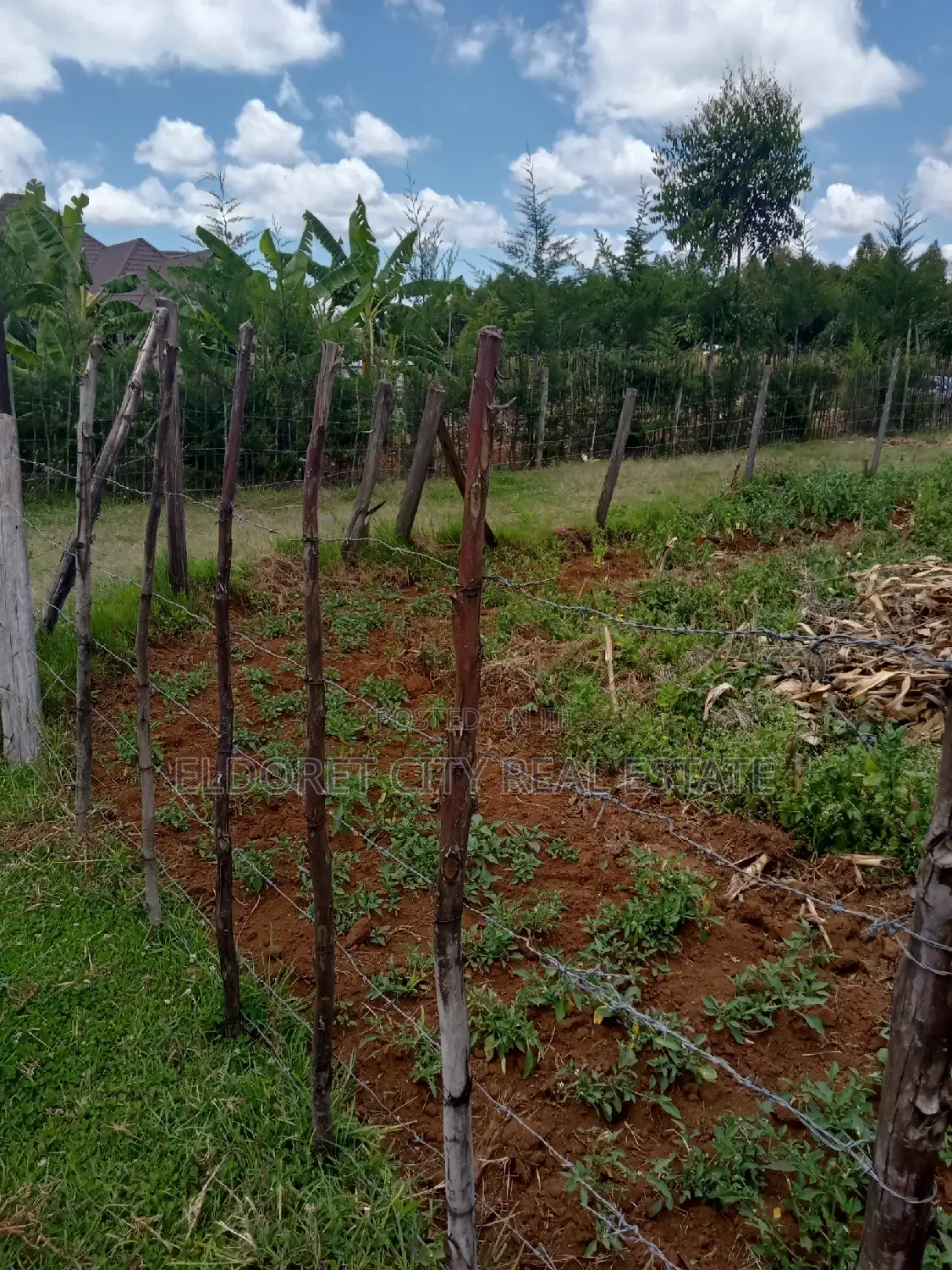 1/8 Acre Plot in Ilula: A Great Real Estate Opportunity in Eldoret CBD