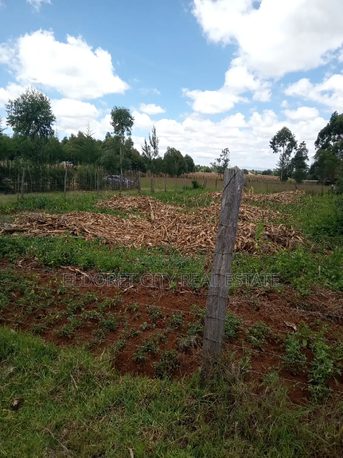 1/8 Acre Plot in Ilula: A Great Real Estate Opportunity in Eldoret CBD