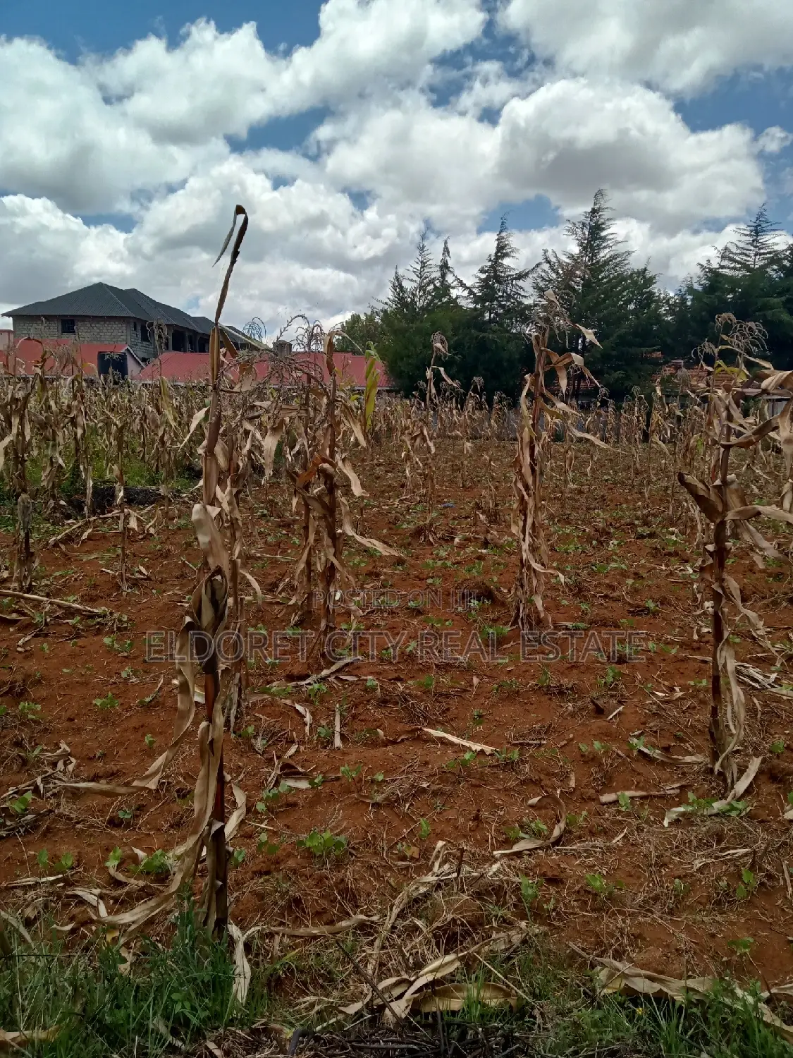 4 plot in Kimumu, perfect for rental. Includes title. Contact us for more information. in Eldoret CBD