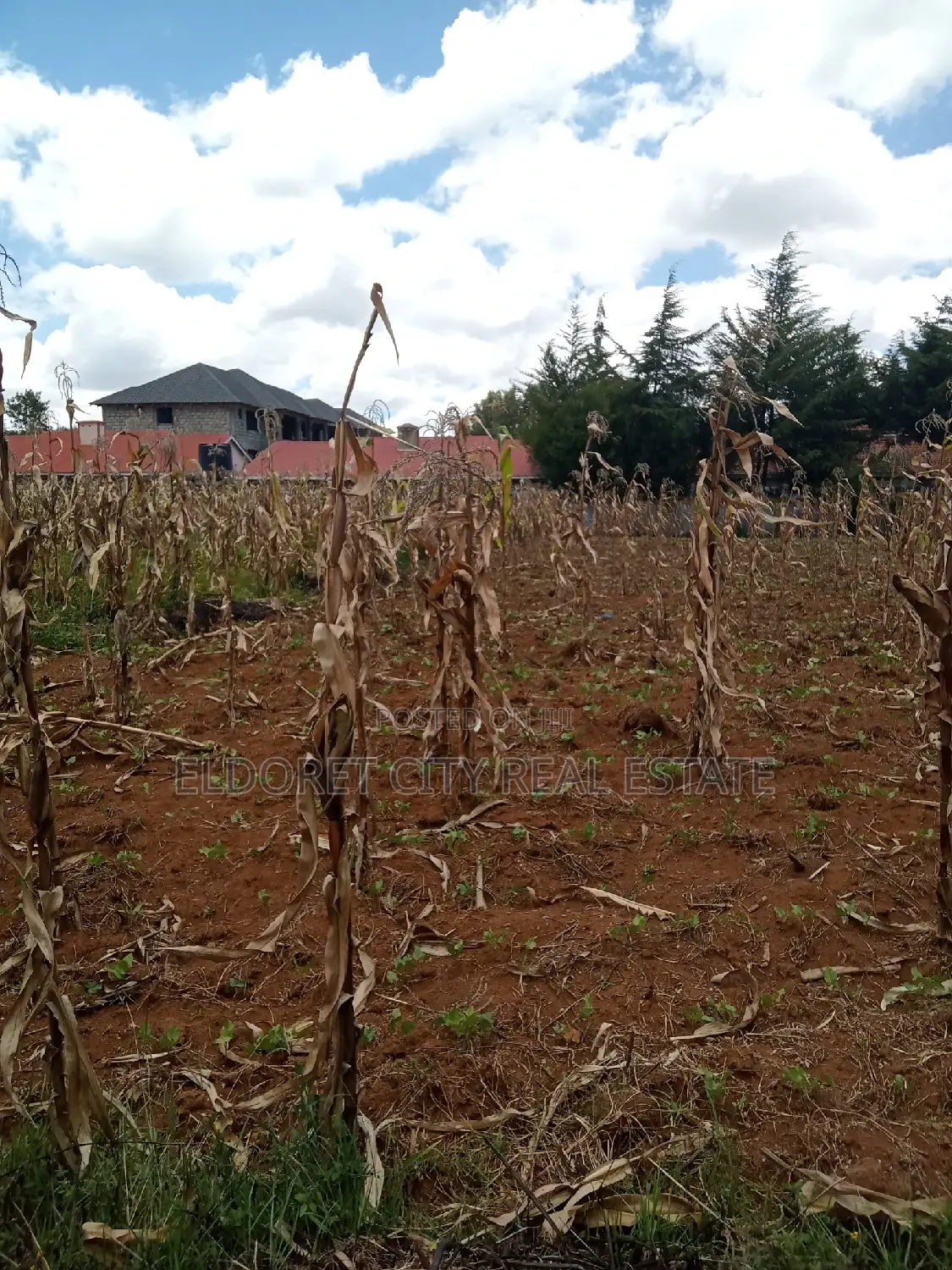 4 plot in Kimumu, perfect for rental. Includes title. Contact us for more information. in Eldoret CBD