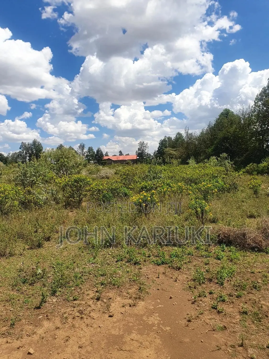 50x100 Plots in Naivasha Nyamathi Alpaha Gardens in Naivasha East