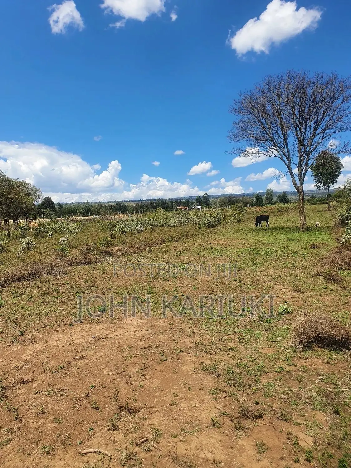 50x100 Plots in Naivasha Nyamathi Alpaha Gardens in Naivasha East