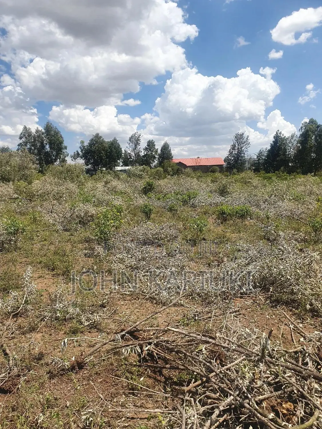 50x100 Plots in Naivasha Nyamathi Alpaha Gardens in Naivasha East