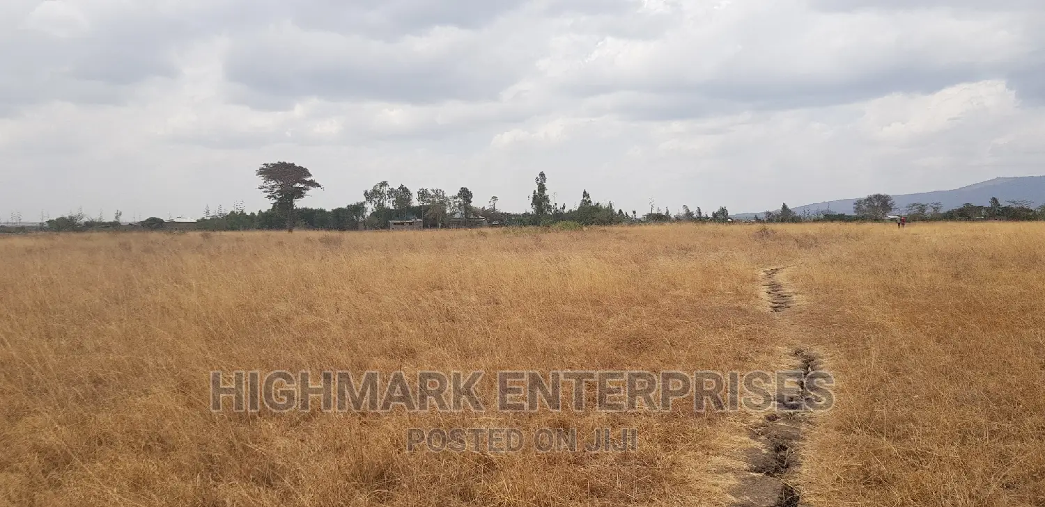 14 Acres of Land for Sale in Malaa: Start Your New Real Estate Journey in Koma Hills Area