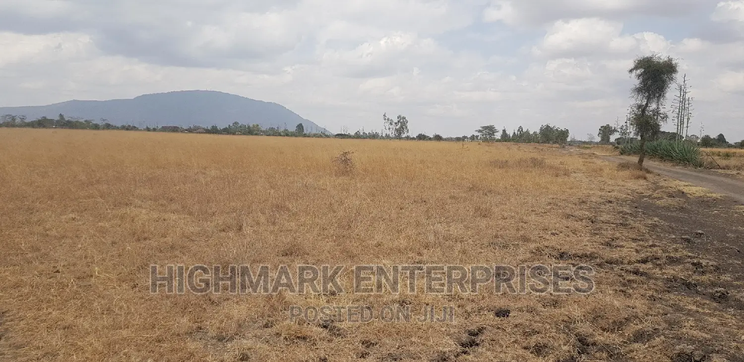 14 Acres of Land for Sale in Malaa: Start Your New Real Estate Journey in Koma Hills Area