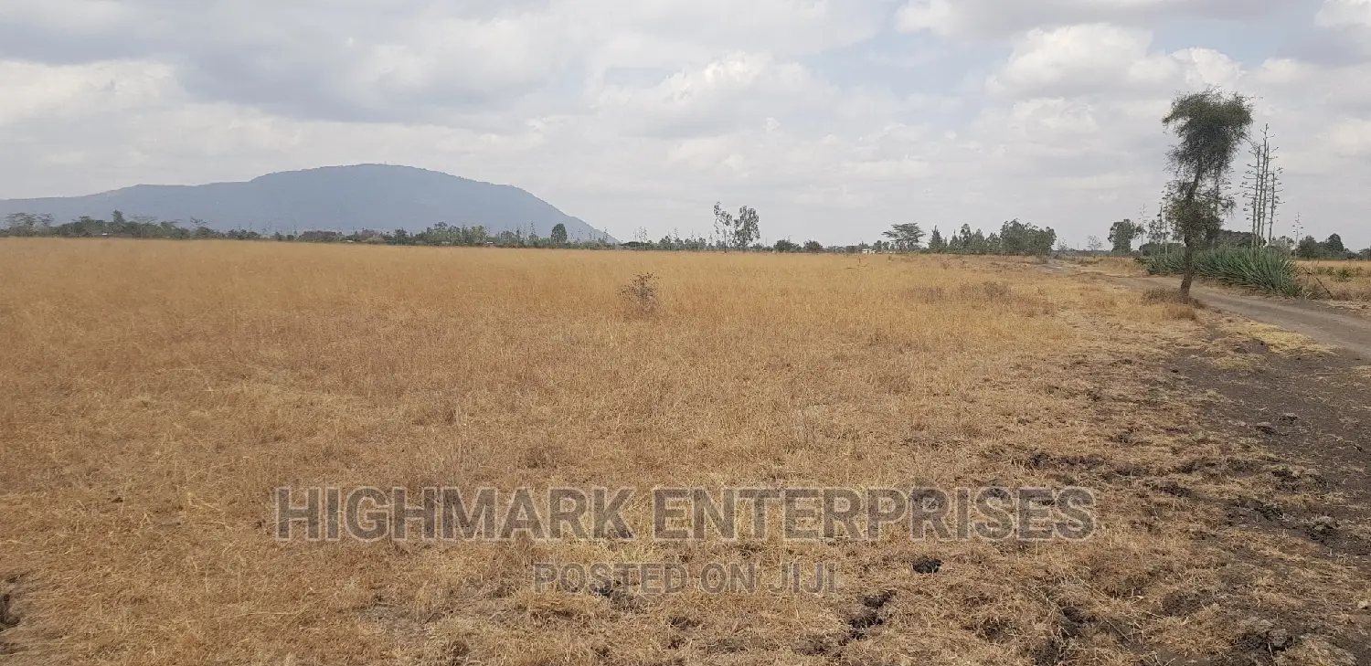 14 Acres of Land for Sale in Malaa: Start Your New Real Estate Journey in Koma Hills Area