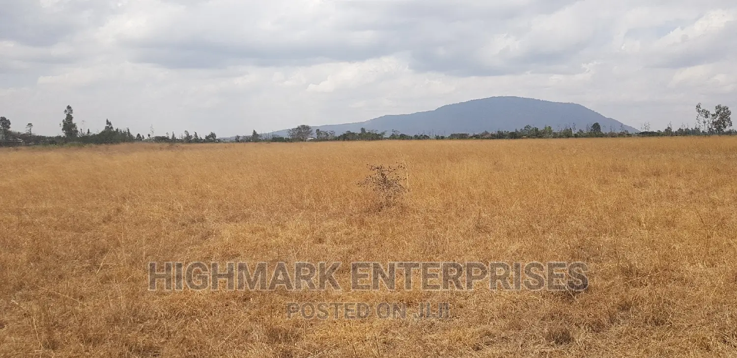 14 Acres of Land for Sale in Malaa: Start Your New Real Estate Journey in Koma Hills Area