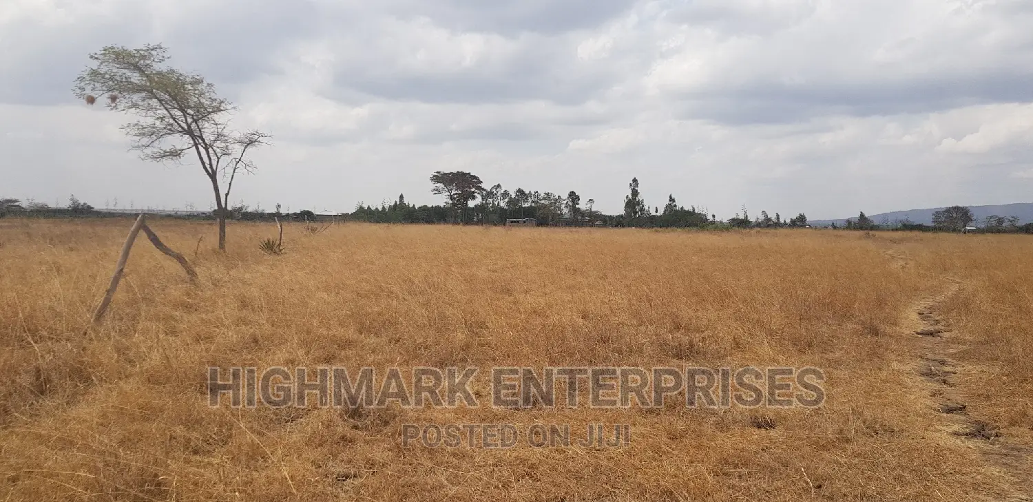 14 Acres of Land for Sale in Malaa: Start Your New Real Estate Journey in Koma Hills Area
