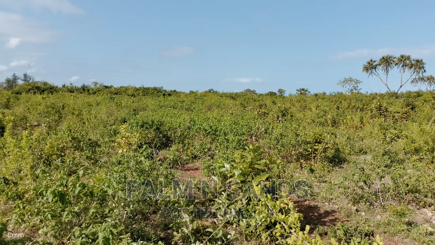 Premium Quarter Acre Plots in Galu: Ideal for Investment & Development in Ukunda